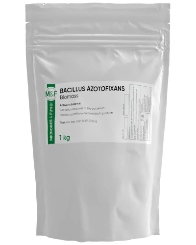 Bacillus azotofixans