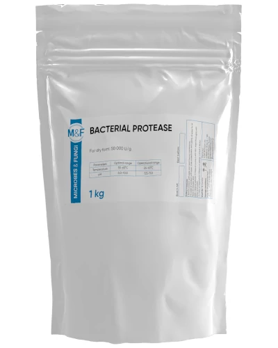 Bacterial protease